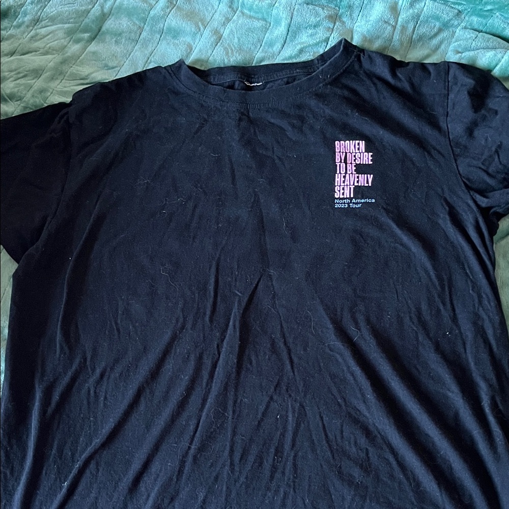 Louis Capaldi Merch- Black Graphic T-Shirt